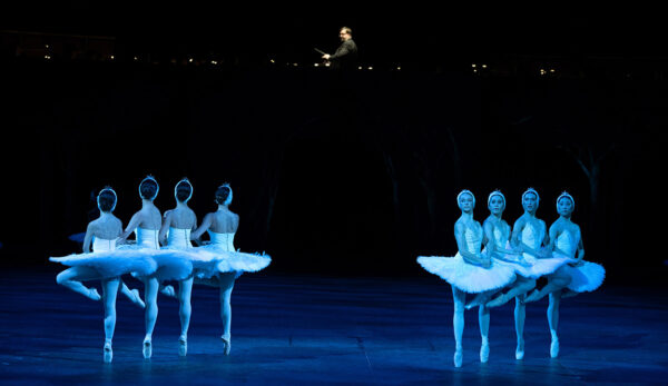 El lago de los cisnes - English National Ballet